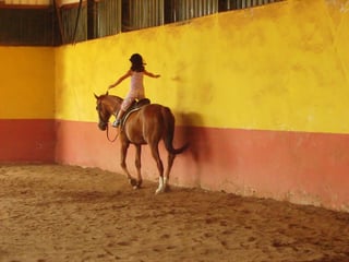 Child riding horse
