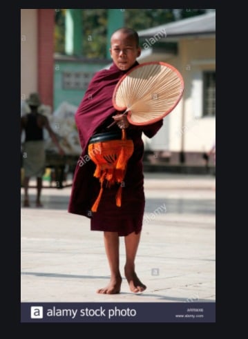 Bhikku with Talipot handfan 3